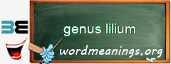 WordMeaning blackboard for genus lilium